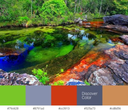 Разноцветная река